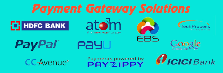 Payment Gateway Solution Integration