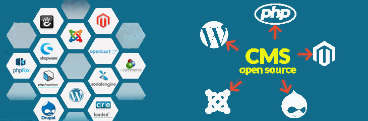 cms open source web application development