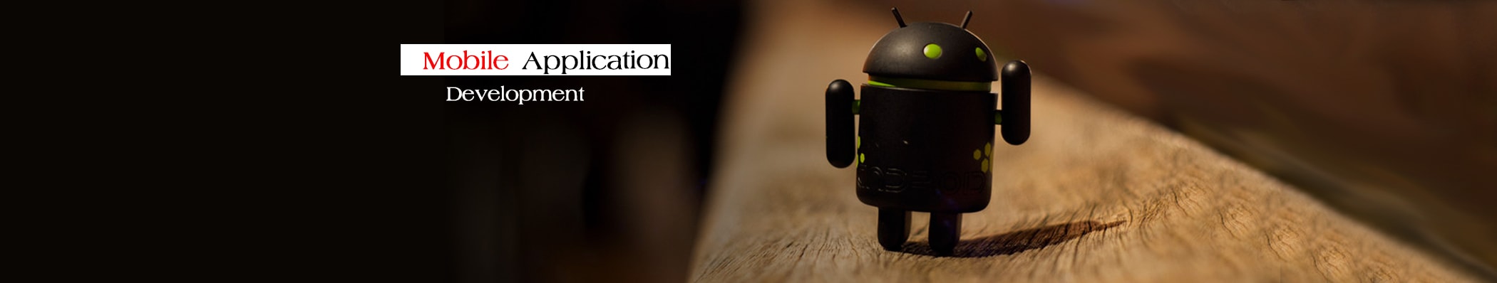 Web development Company